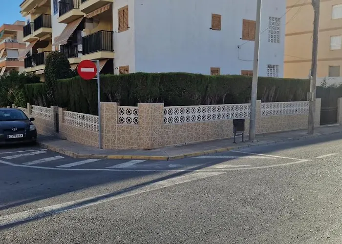 Palmerav